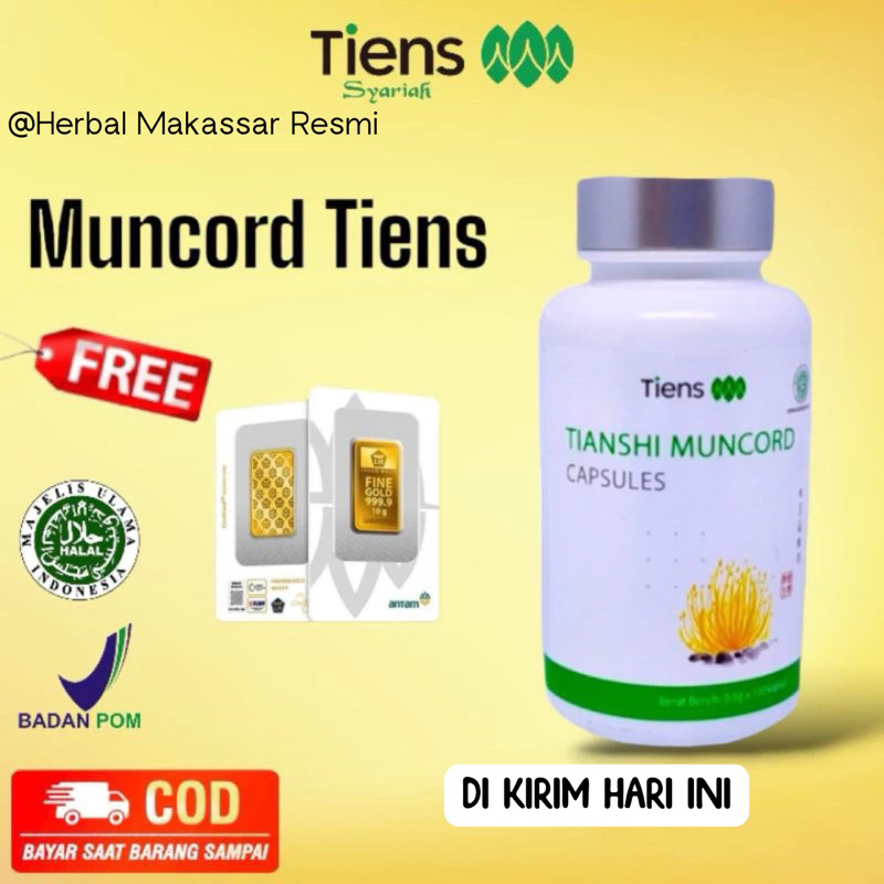 MUNCORD TIENS | CORDYCEPS TIENS | OBAT CINA