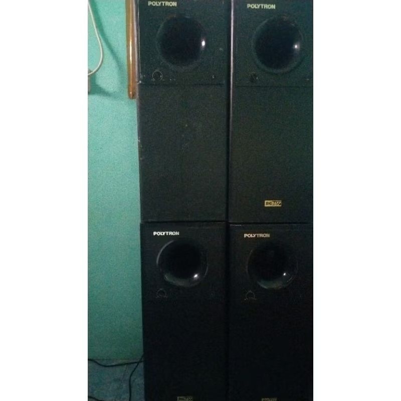 Subwoofer polytron Psw500c dan i