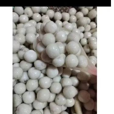 

baso aci cilok mini enak,gurih 100 pcs