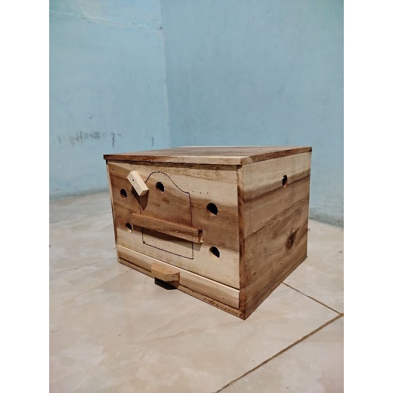 Gupon Merpati Pagupon Rumah Burung Dara Terlaris Murah