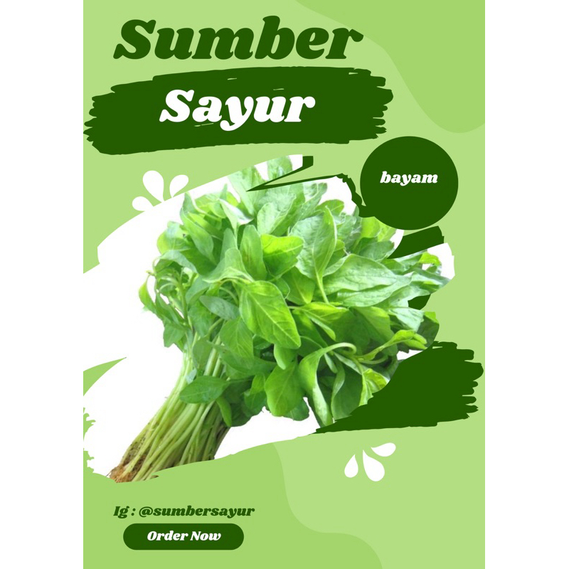 

Bayam sumber sayur segar murah Makassar