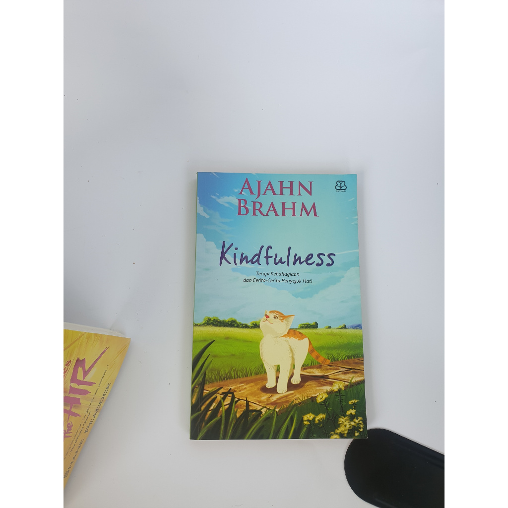 AJAHN BRAHM / KINDFULNESS