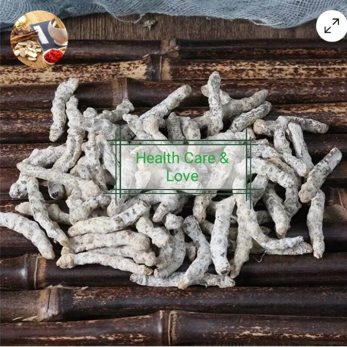 

Bai Jiang Chong 白僵蚕 White Silkworm Grade A 50 Gr