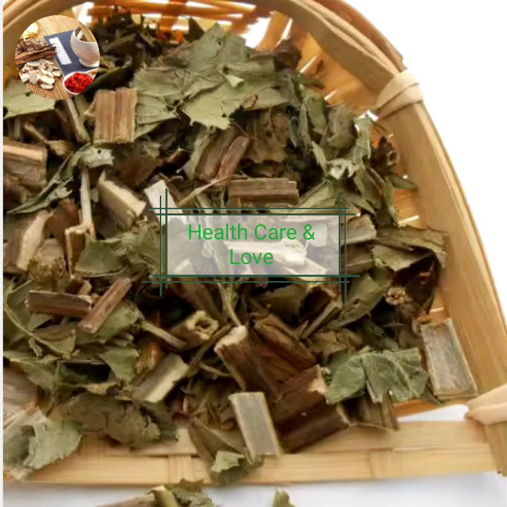 

Ze Lan 澤蘭 Lycopus Lucidus Turcz Premium Grade 50 Gr