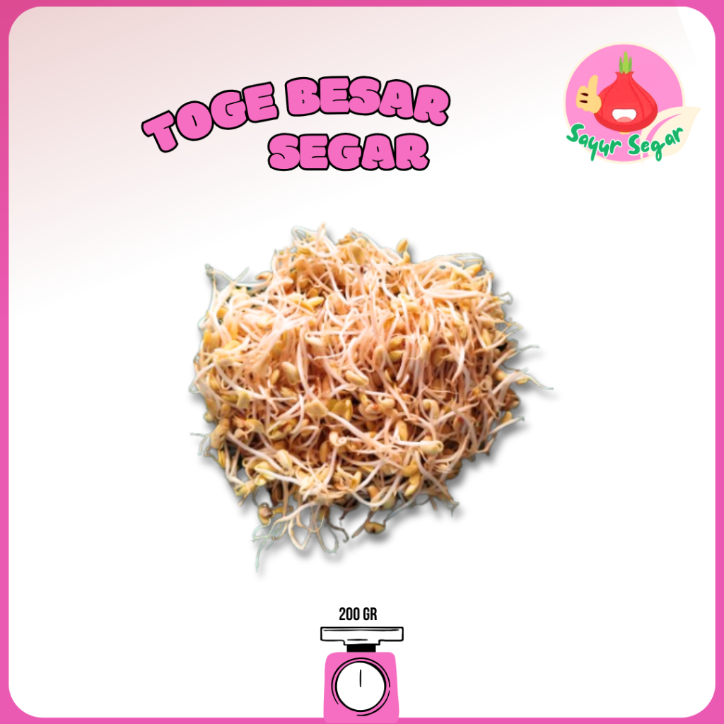 

Sayur Segar - Toge Besar Segar/Bean Sprouts 200gr