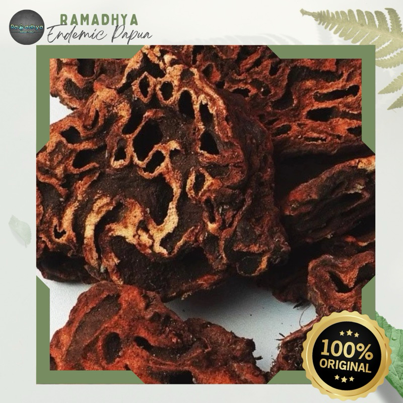 

Sarang Semut Asli Papua Original 100% Sarang Semut Papua 250gr - Asli Papua Grade A