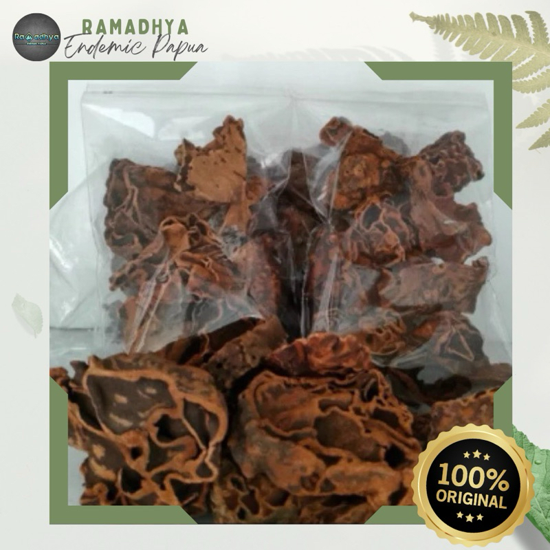 

Sarang Semut Asli Papua Original 100% sarang semut papua herbal 100% asli langsung dari papua