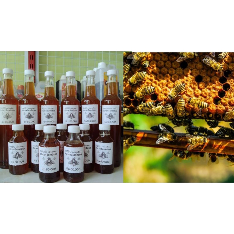 

Madu Hutan Sumbawa