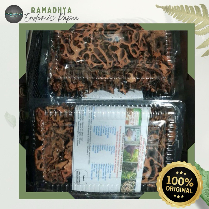 

Sarang Semut Asli Papua Original 100% sarang semut 100% asli Papua