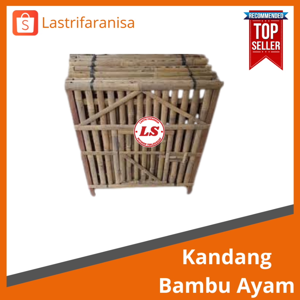 Kandang Bambu Ayam Kandang Ayam Kandang Ayam Bambu Kandang Ayam Bangkok Kandang Ayam Petelur Kandan