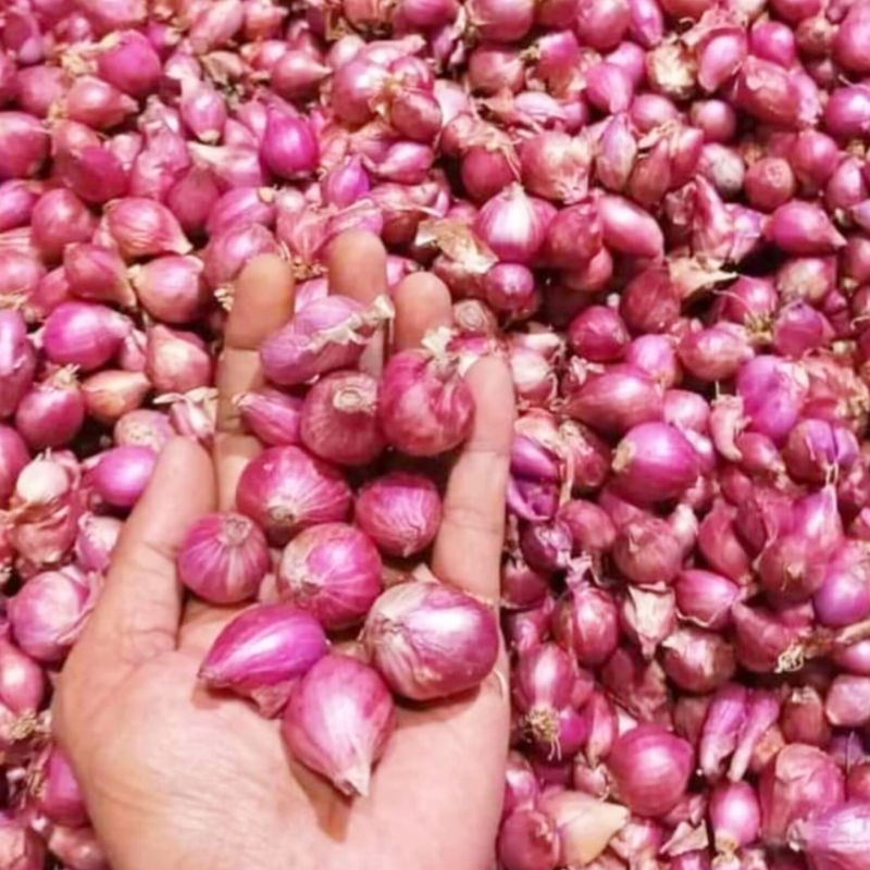 

Bawang Merah 1 Kilogram