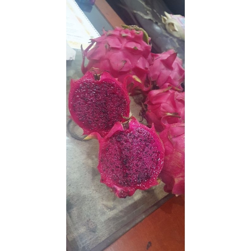 

Naga Merah