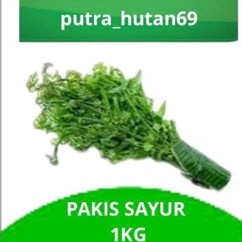 

PAKIS SAYUR 1 KG