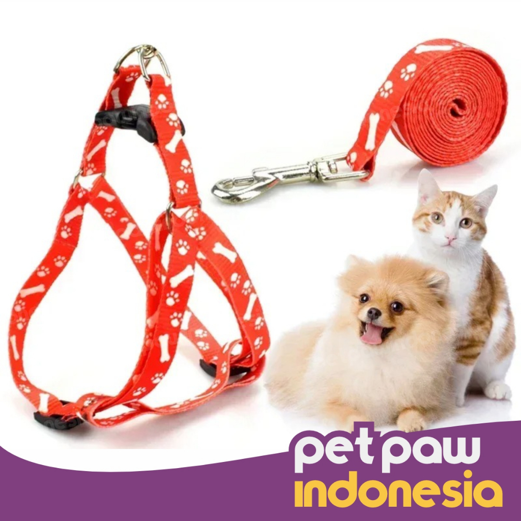 Harness + Tali Tuntun Anjing Kucing Musang Hewan