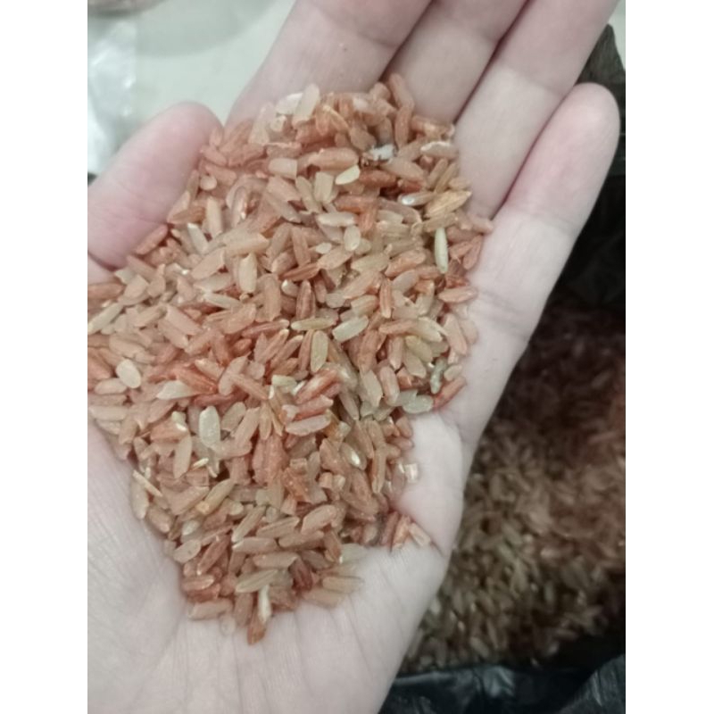 

Beras Merah 1 Kg