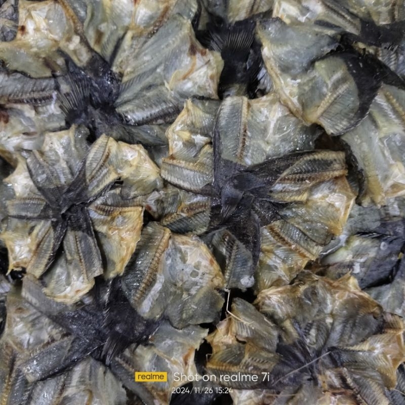 

Papuyu Berampit 1kg Khas Kalimantan
