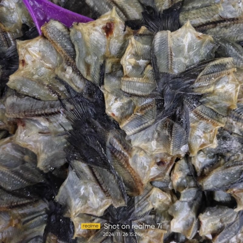 

Papuyu Berampit 500gr Khas Kalimantan