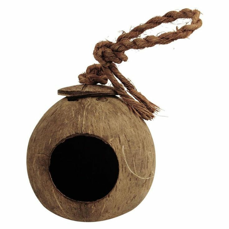 Kandang burung batok kelapa Glodok lovebird unik  murai sangkar burung Glodok lovebird coconut shell