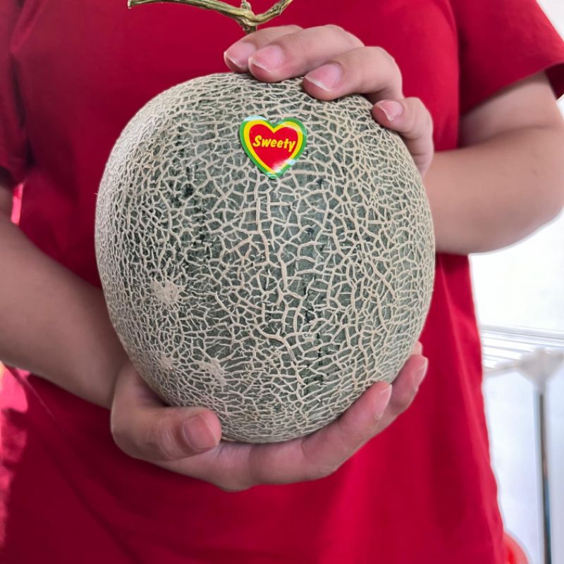 

Rock Melon Sweet Premium 1kg++