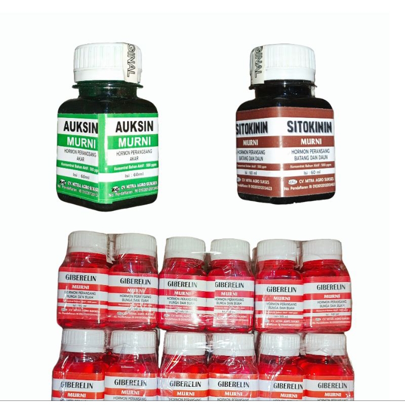 Auksin (Zat perangsang akar) Sitokinin (Zat perangsang batang) Giberelin (Zat perangsang bunga & bua