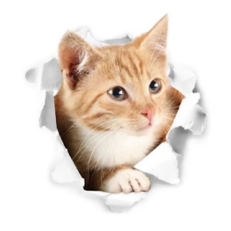 

stiker 3D kucing lucu, anti air ukuran 20 x 18 cm