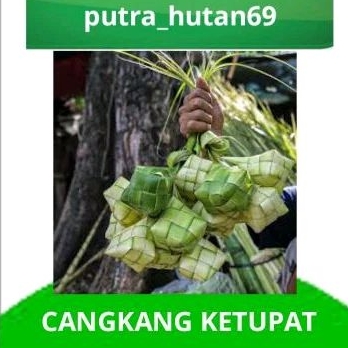 

TERMURAH CANGKANG KETUPAT 10 PCS