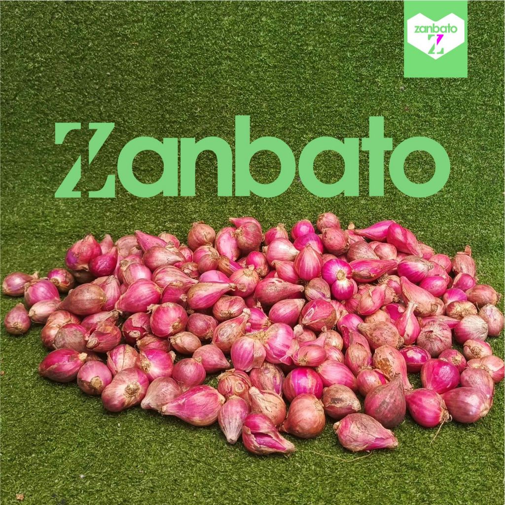 

Bawang Mearah Jawa Campur Fresh