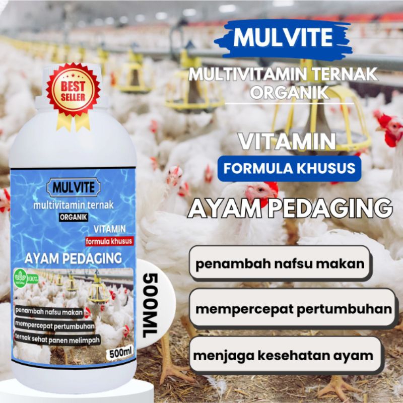 MULVITE Penggemuk Ayam Pedaging, Ayam Kampung, Menambah Nafsu Makan Ternak Ayam, Meningkatkan Bobot 