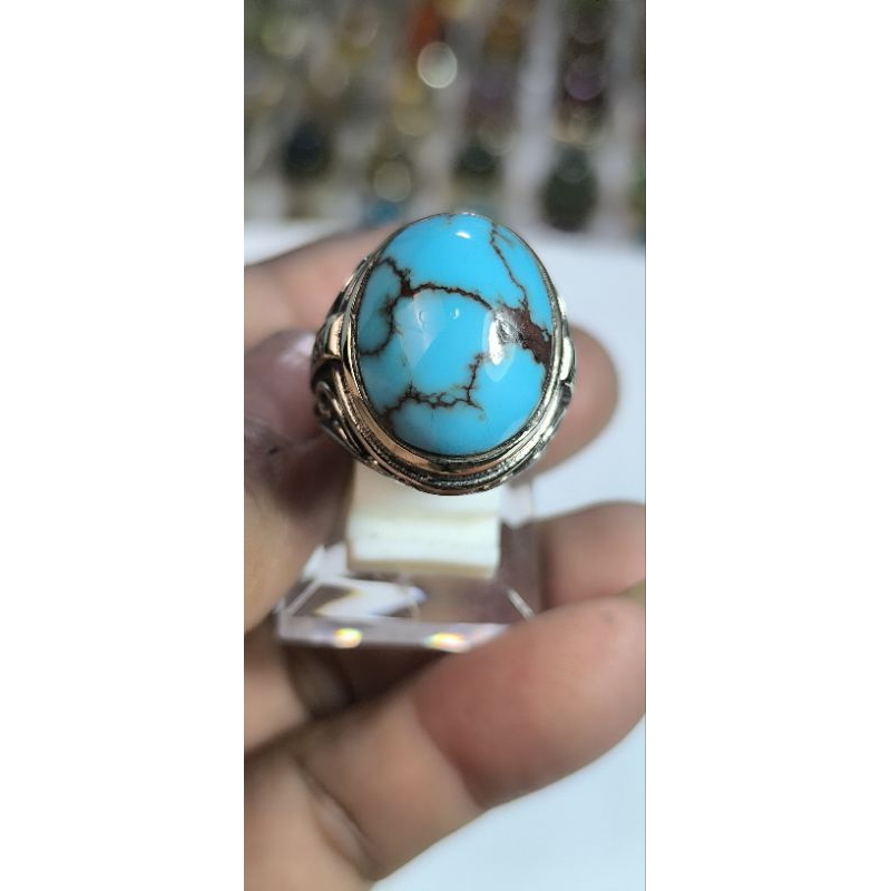 Pirus Mesir serat merah tembus