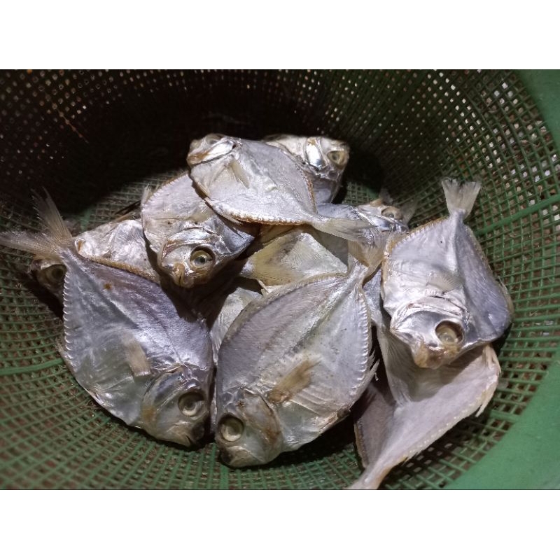 

ikan asin kopek asli madura