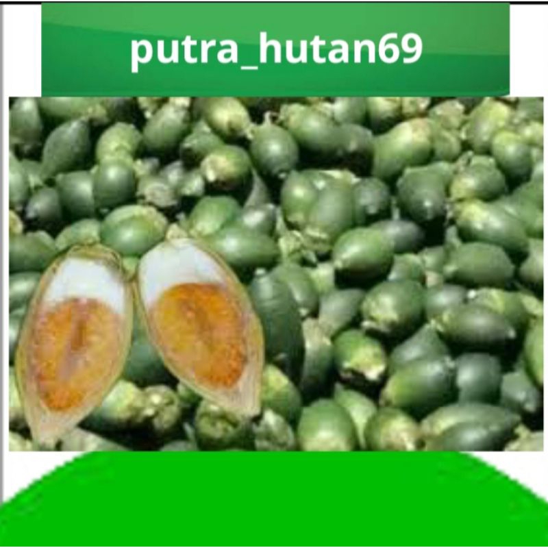 

BUAH PINANG MUDA UNGGULAN 1KG