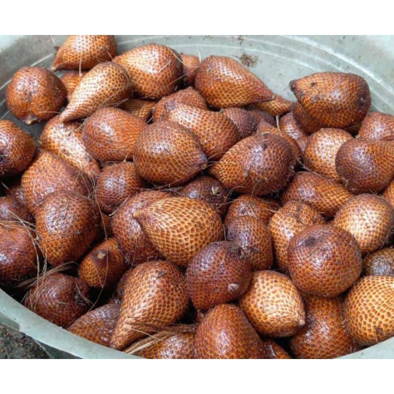 

salak pondoh manis fresh super