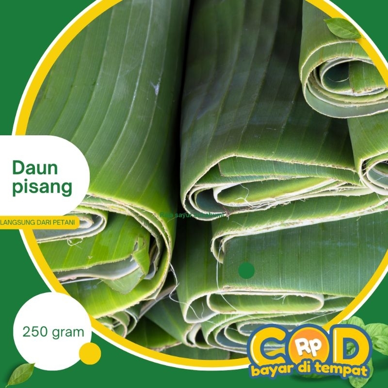 

daun pisang 1 ikat