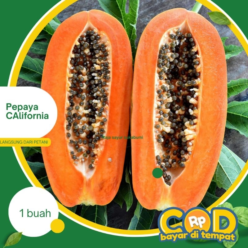 

pepaya caligornia sukabumi 1 buah