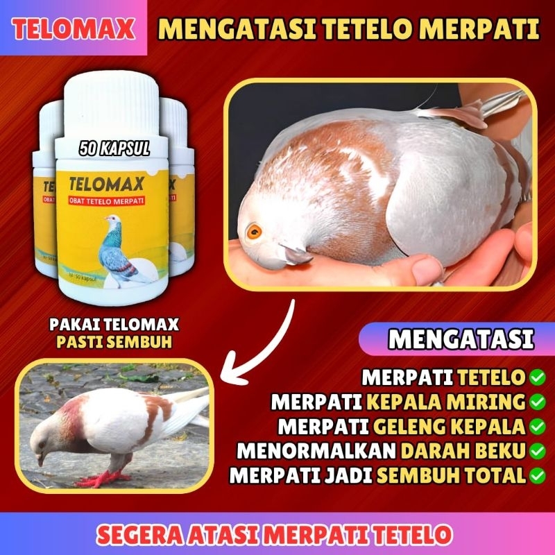 TELOMAX Jamu Tetelo Merpati