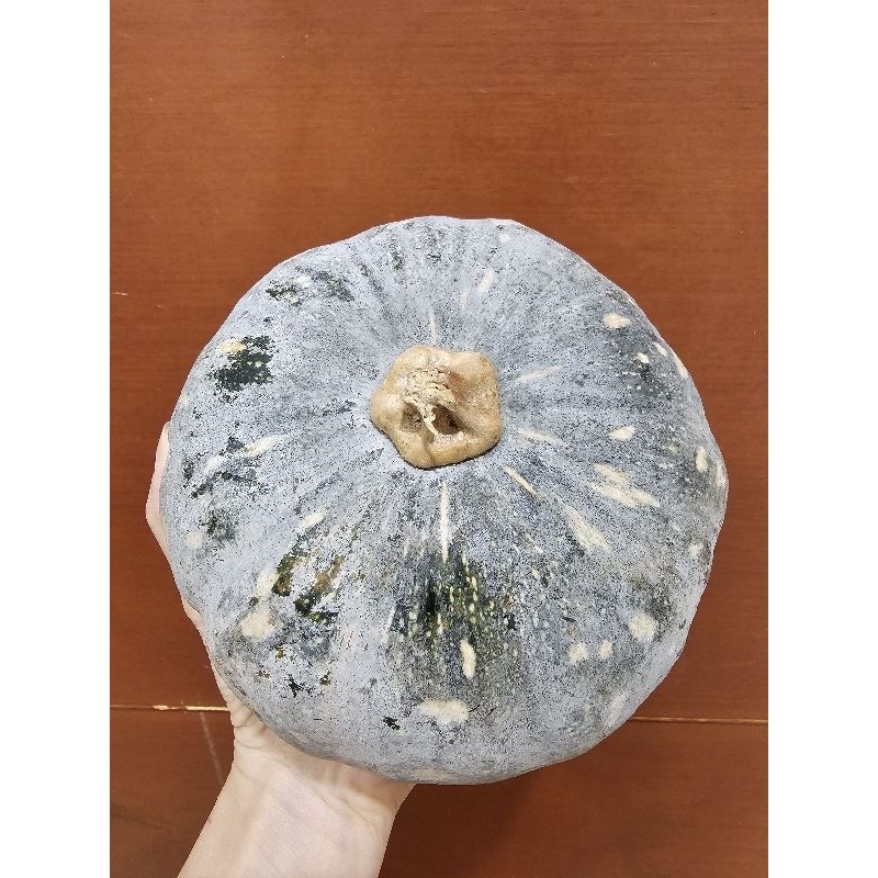 

Labu Paranh Blewah Waluh Organik || 1kg || pumpkin organic