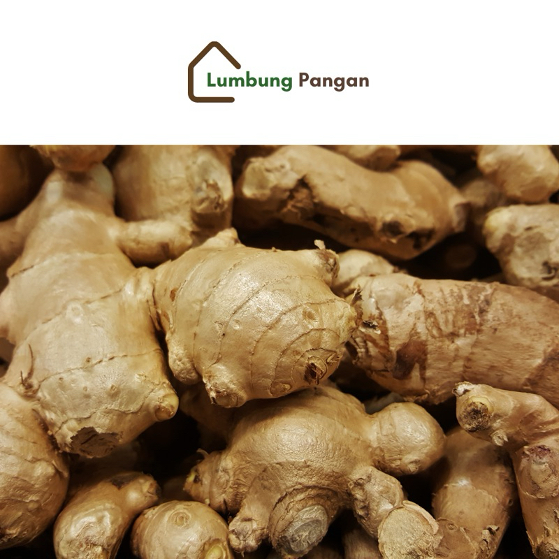 

Jahe, kunyit, lengkuas/laos, kencur | Toko Lumbung Pangan