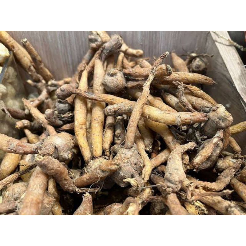 

TEMU KUNCI BERAT 250 GRAM