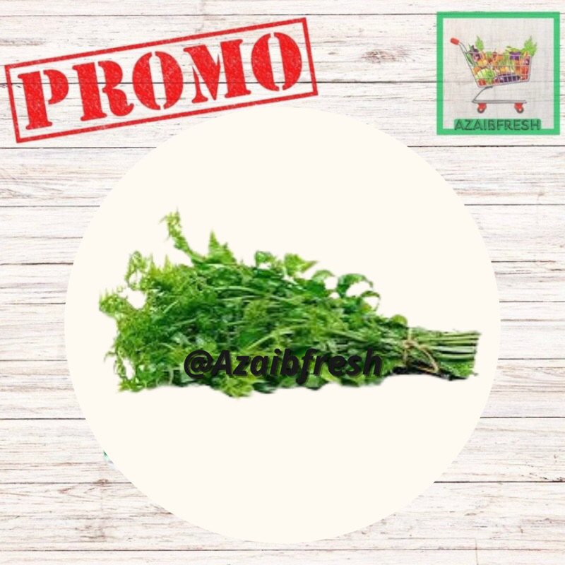 

Sayur Pakis berat 20-250gr