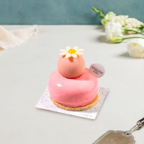Exquise Patisserie - Individual Anais