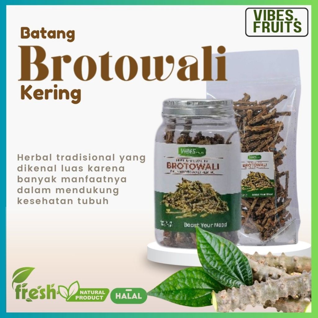 

Brotowali Kering Premium / Dried Brotowali