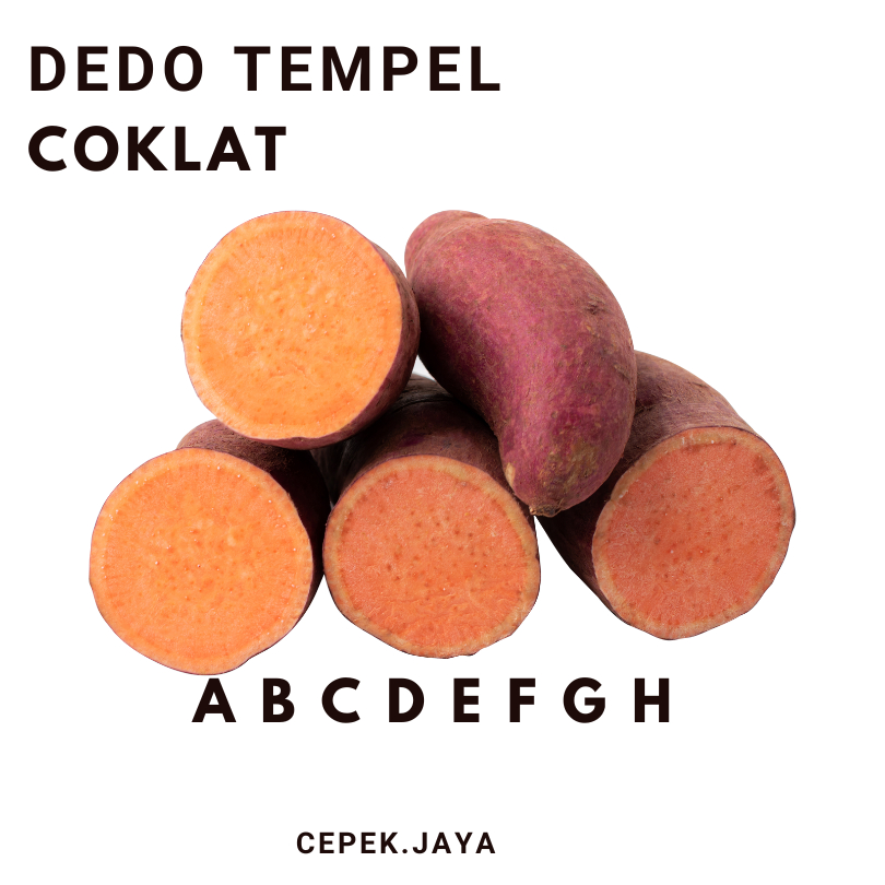 

UBI MADU MANIS LANGSUNG DIPETIK 250GR