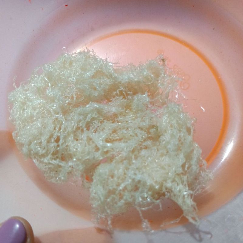 

sarang walet bersih tanpa bahan kimia 11gram harga murah