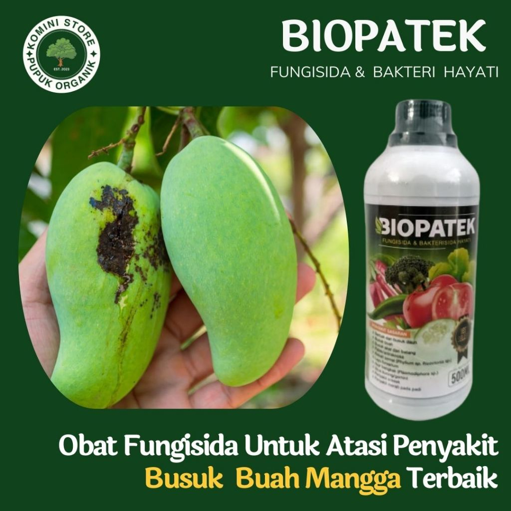 Obat semprot busuk buah pada mangga terbaik - BIOPATEK 500ML - Pupuk fungisida basmi penyakit layu t