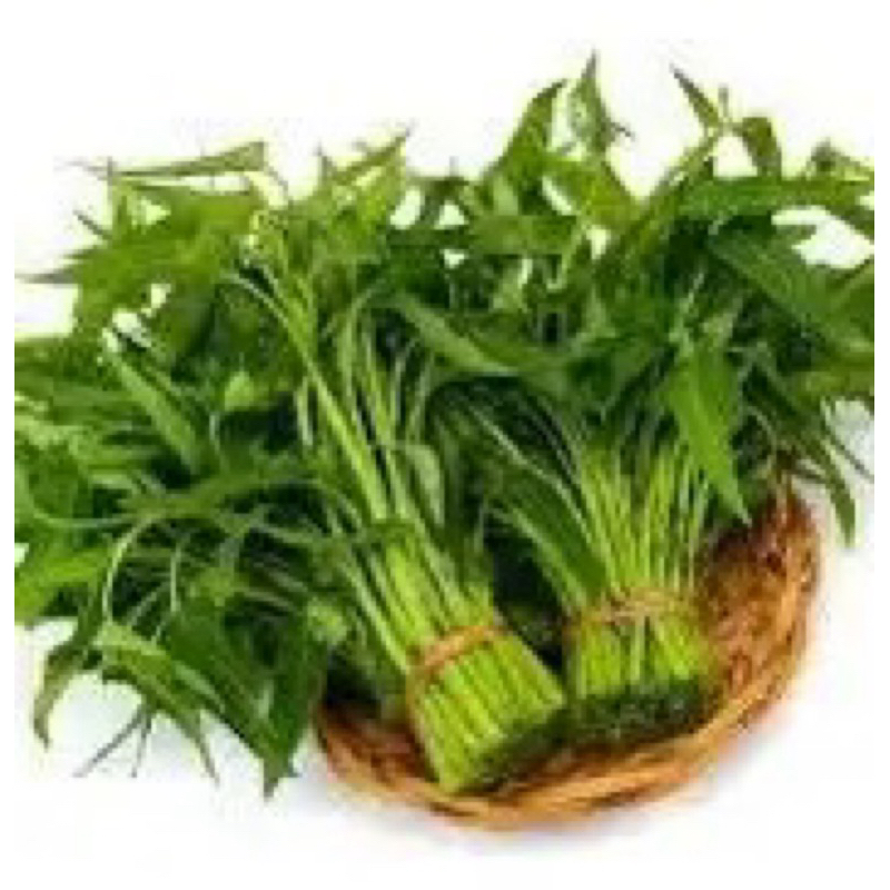 

kangkung