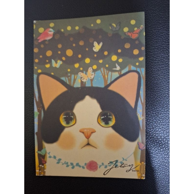 

kartu pos kucing jetoy/jetoy postcard