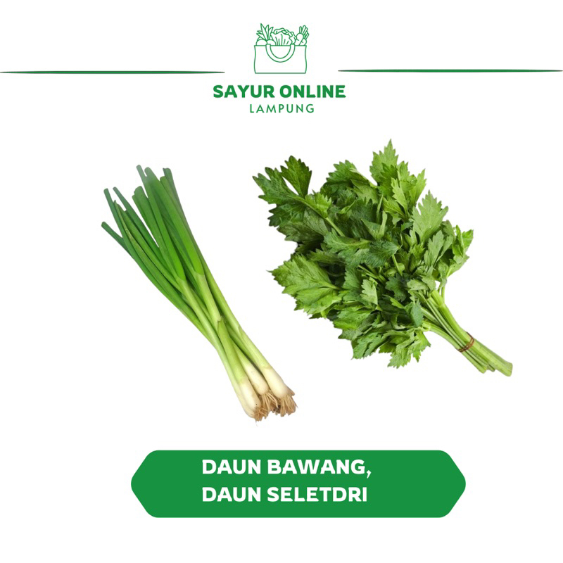 

Daun bawang / Daun Seletdri 1 ikat - Sayur Online Lampung