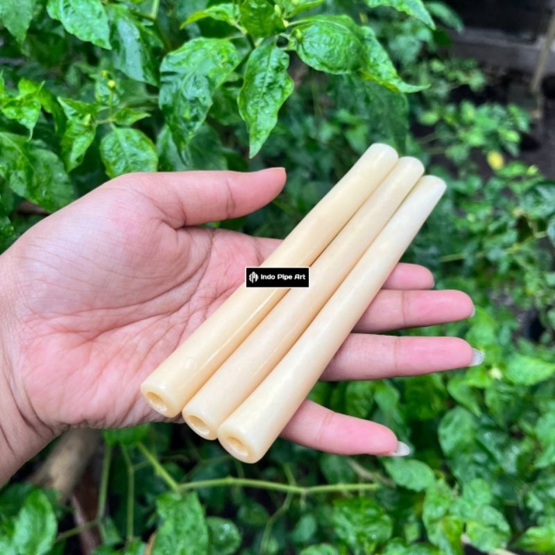 Once Pipa Pipe Tulang Sapi Asli Panjang 15cm