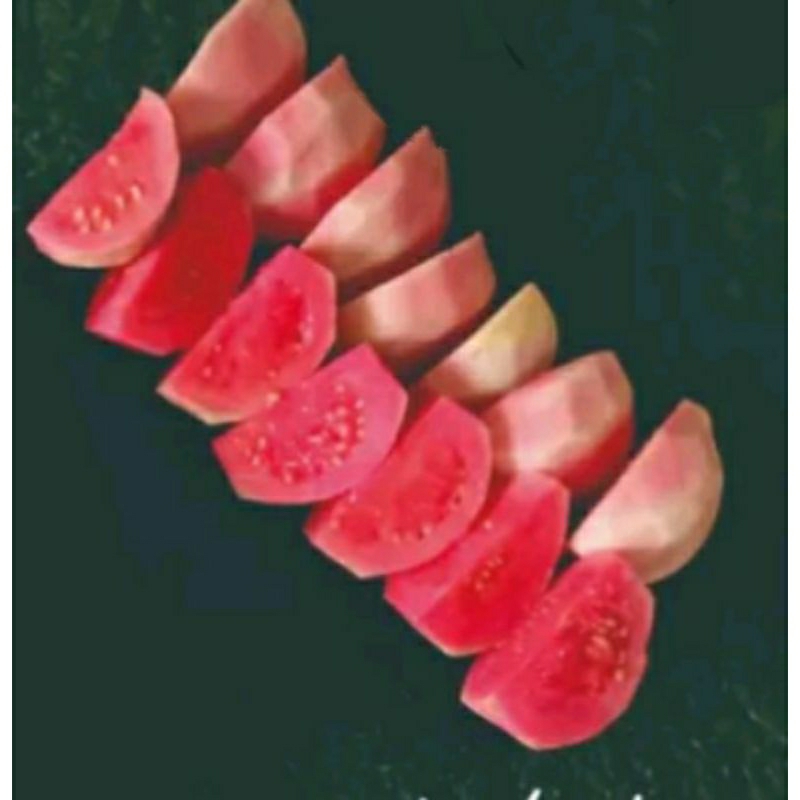 

jambu merah kupas Frozen kemasan 1 kg