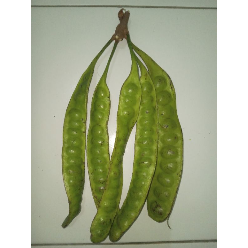 

Pete Sedang Isi 10 papan / Keris /Lonjor